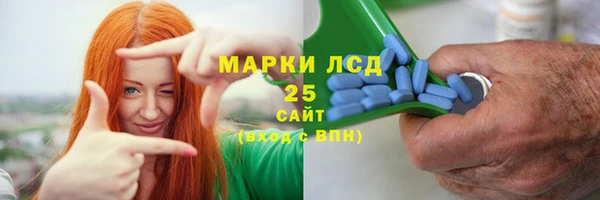 первитин Богданович
