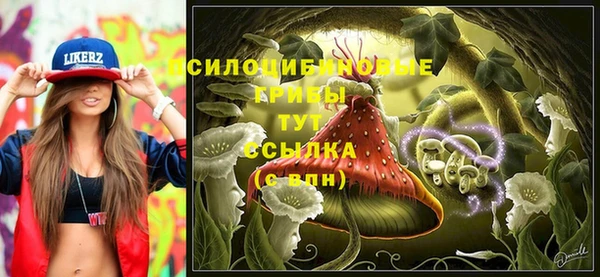 первитин Богданович